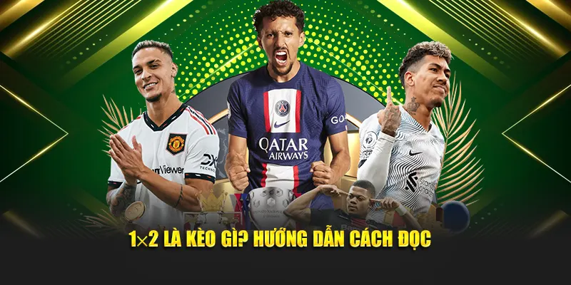 1×2 là kèo gì? Hướng dẫn cách đọc