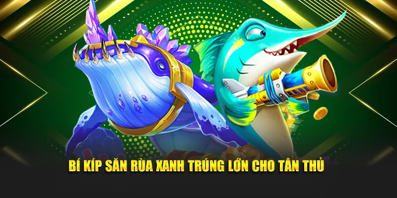 Bí kíp săn rùa xanh trúng lớn cho tân thủ