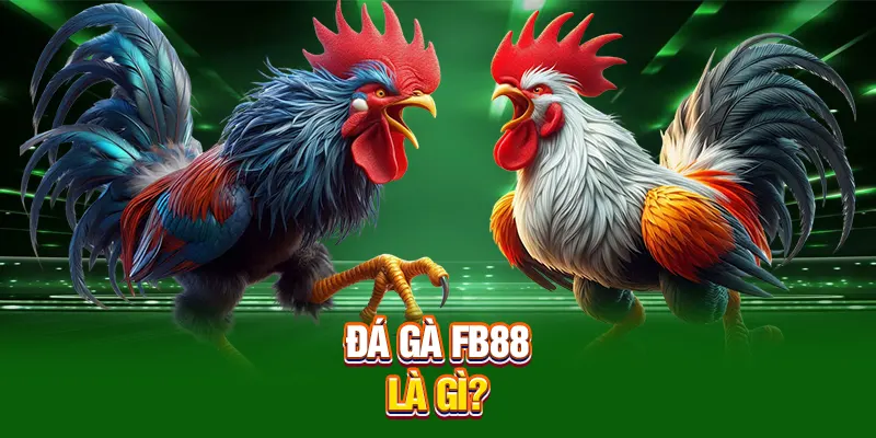 Đá gà FB88 là gì?