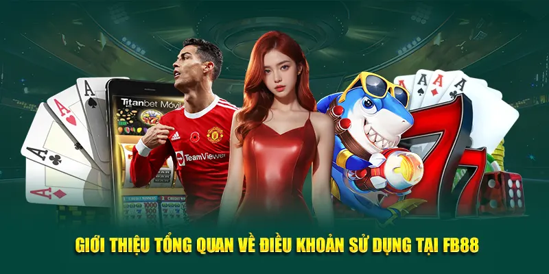 Giới thiệu tổng quan về điều khoản sử dụng tại FB88