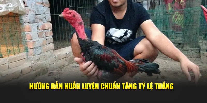 Hướng dẫn huấn luyện chuẩn tăng tỷ lệ thắng