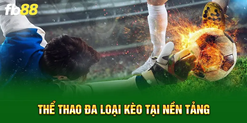 Thể thao đa loại kèo tại nền tảng